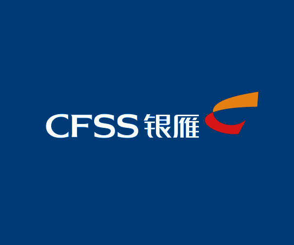 银雁集团